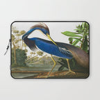 John James Audubon - Louisiana Heron Laptop Sleeve Gallery Image 1