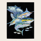 Saltwater Fish Poster Gallery Image 4