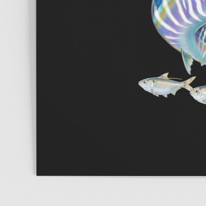 Saltwater Fish Poster Gallery Image 3