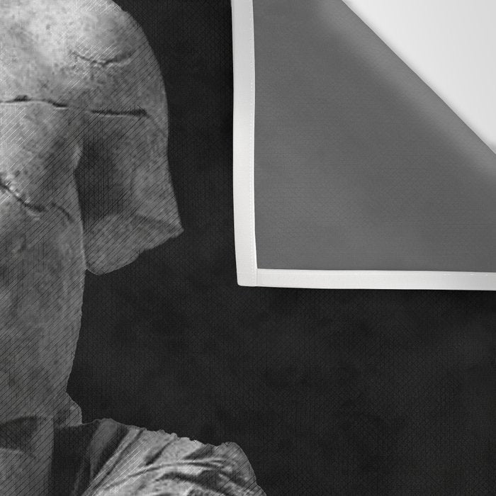 Greek God  Wall Tapestry Gallery Image 3