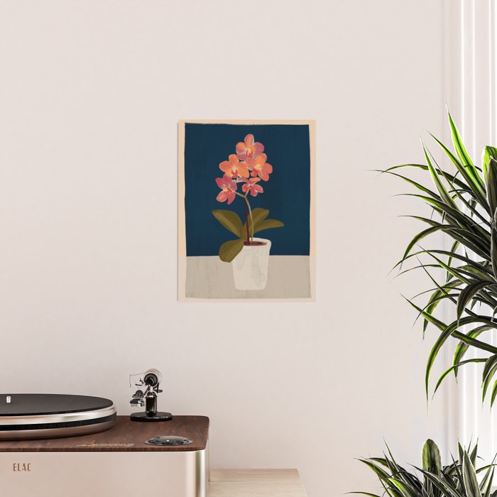 Orchid Poster Gallery Image 2