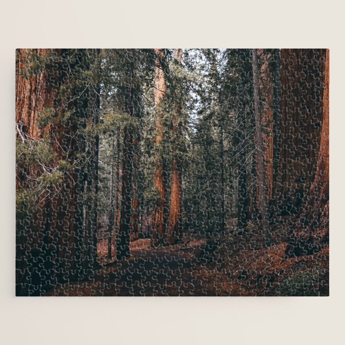 Walking Sequoia Jigsaw Puzzle Gallery Image 1