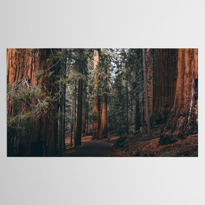 Walking Sequoia Tablecloth Gallery Image 2