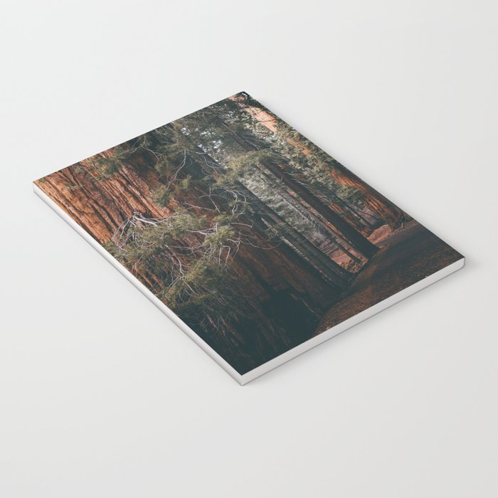 Walking Sequoia Notebook Gallery Image 3