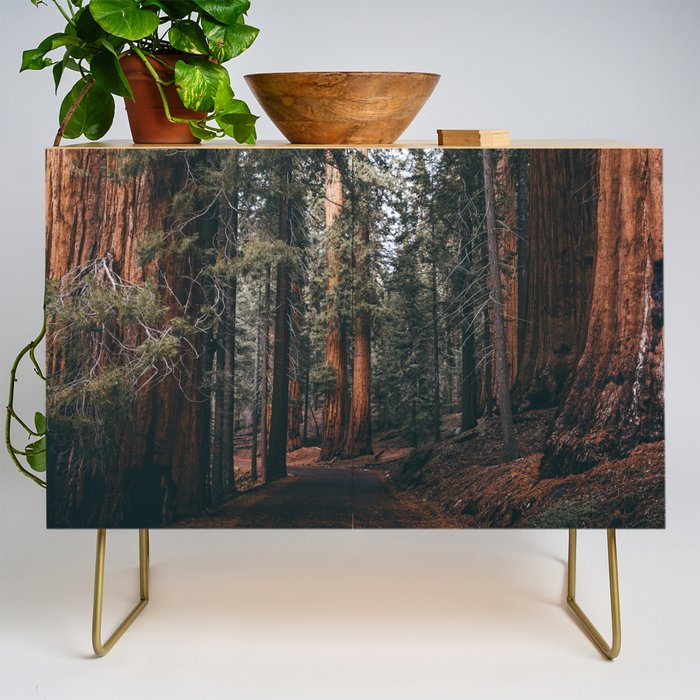 Walking Sequoia Credenza Gallery Image 1