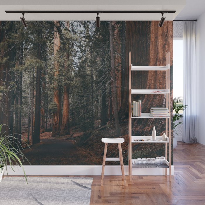 Walking Sequoia Wall Mural Gallery Image 1