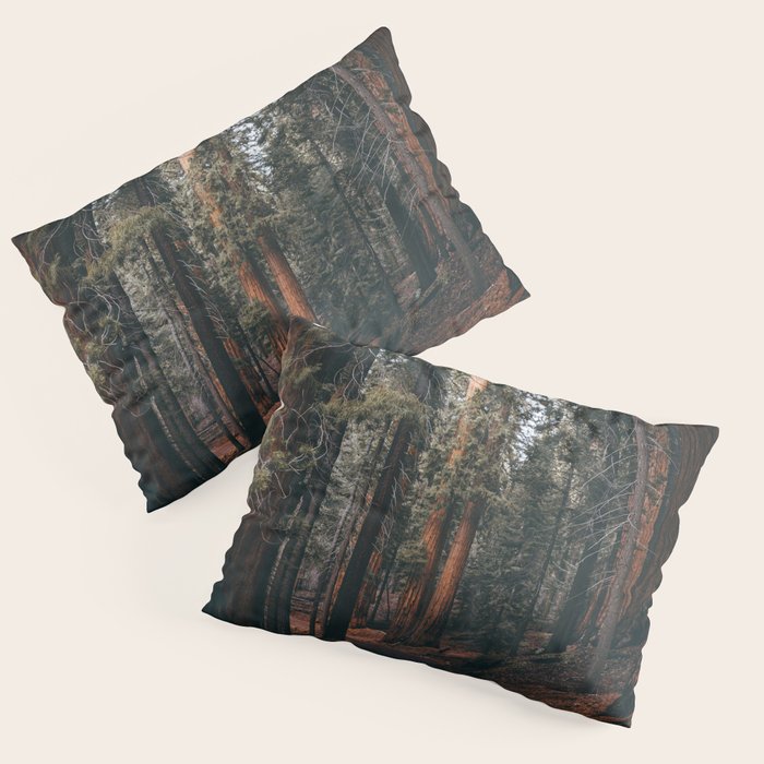 Walking Sequoia Pillow Sham Gallery Image 3