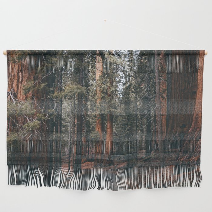 Walking Sequoia Wall Hanging Gallery Image 1