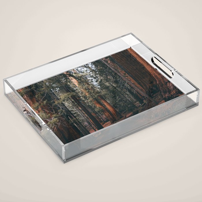 Walking Sequoia Acrylic Tray Gallery Image 1