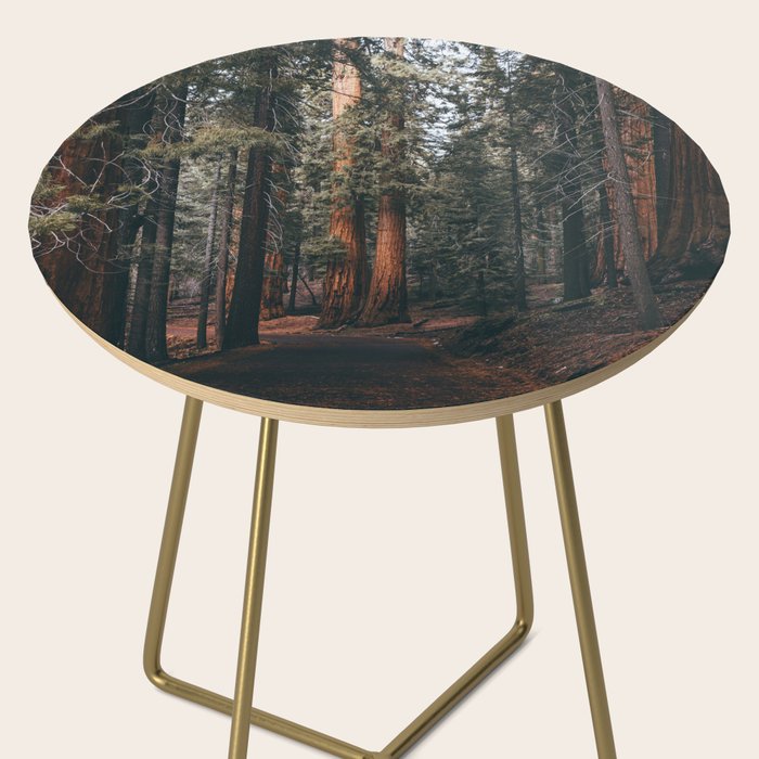 Walking Sequoia Side Table Gallery Image 2
