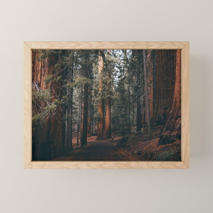 Walking Sequoia Mini Art Print Gallery Image 1