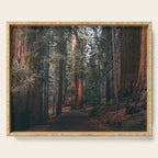 Walking Sequoia Serving Tray Gallery Image 1