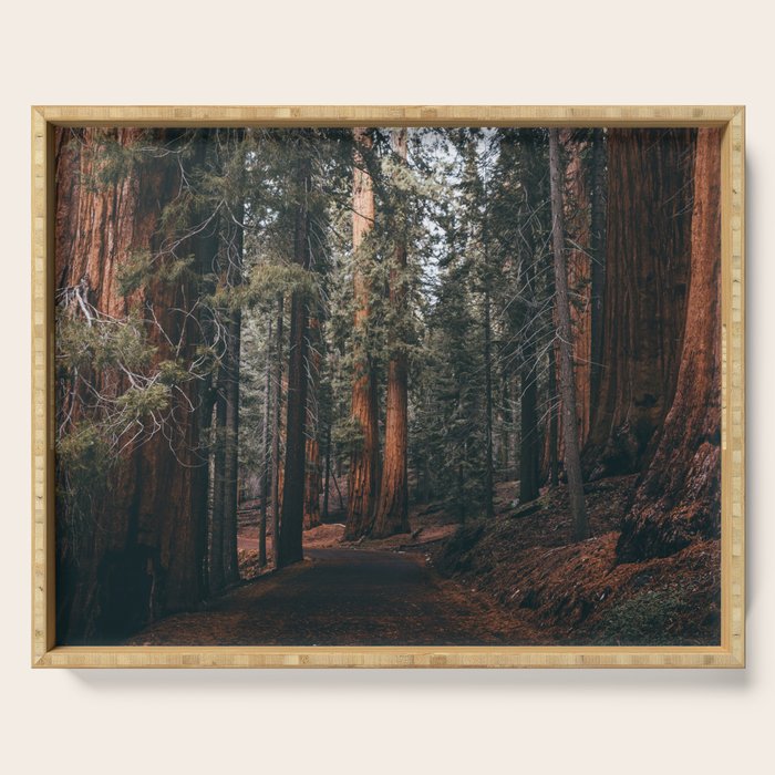 Walking Sequoia Serving Tray Gallery Image 1