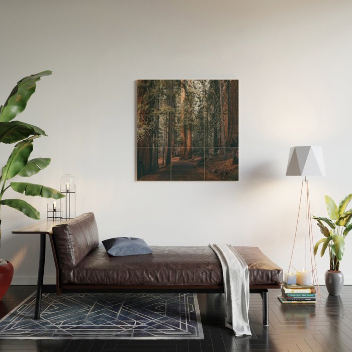 Walking Sequoia Wood Wall Art Gallery Image 2