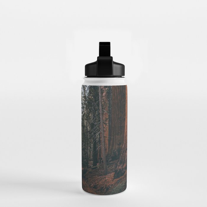 Walking Sequoia Water Bottle Gallery Image 2