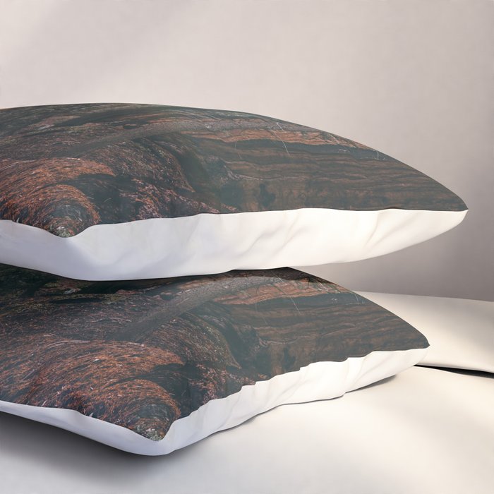 Walking Sequoia Pillow Sham Gallery Image 3