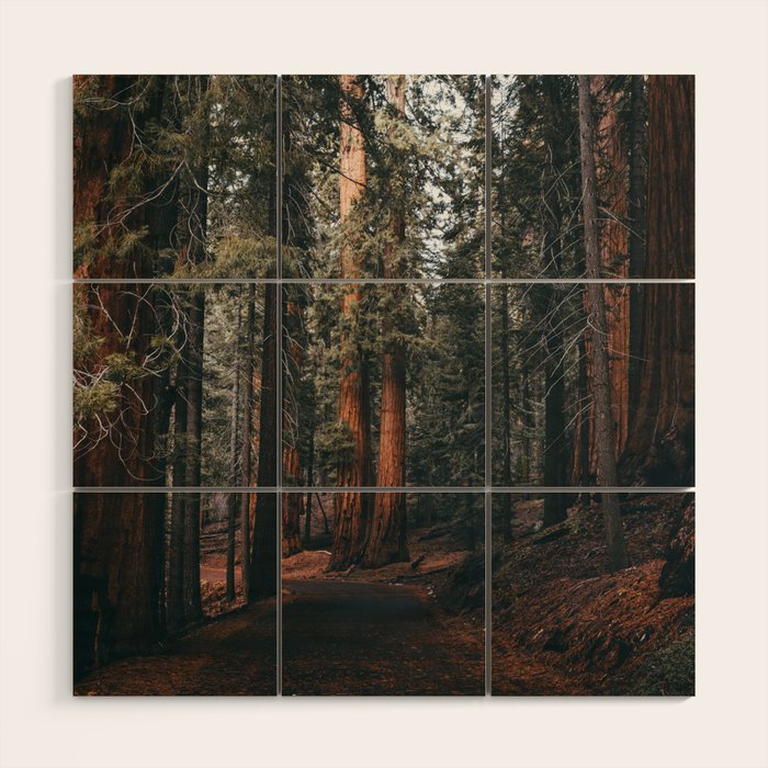 Walking Sequoia Wood Wall Art