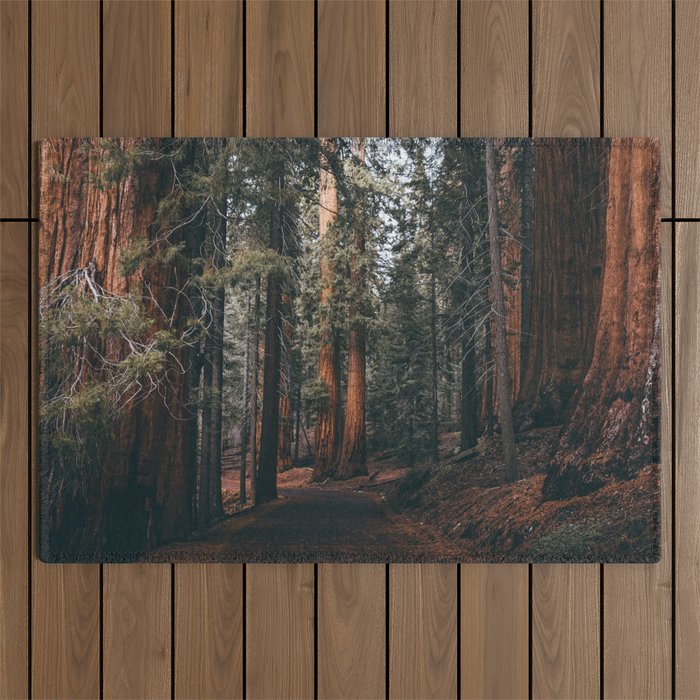 Walking Sequoia Outdoor Rug Gallery Image 1