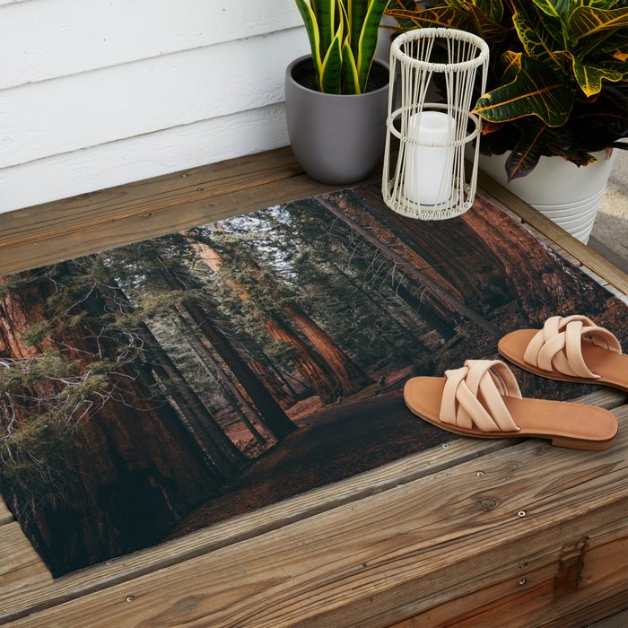 Walking Sequoia Outdoor Rug Gallery Image 2