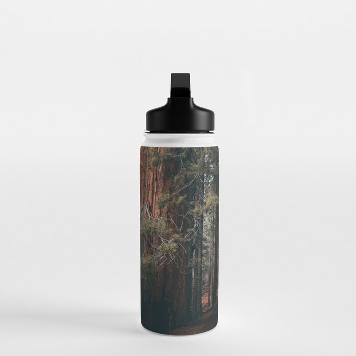 Walking Sequoia Water Bottle Gallery Image 3
