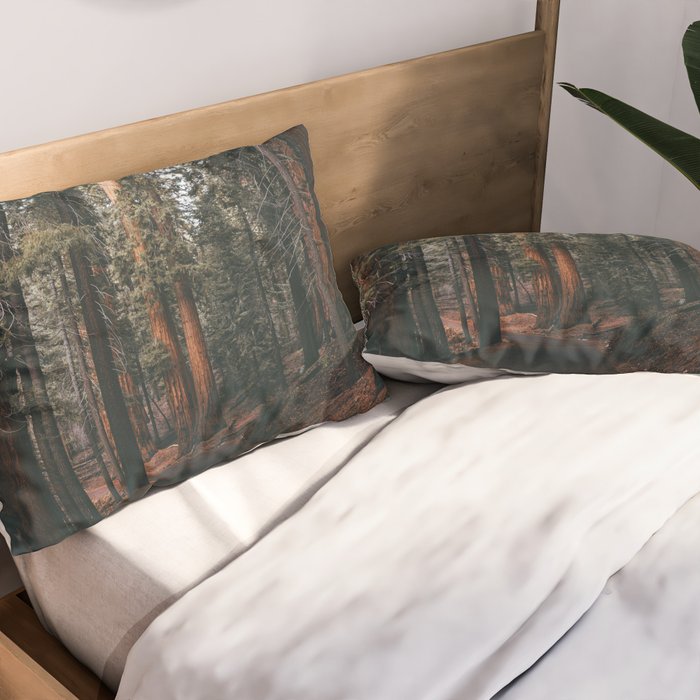Walking Sequoia Pillow Sham Gallery Image 2
