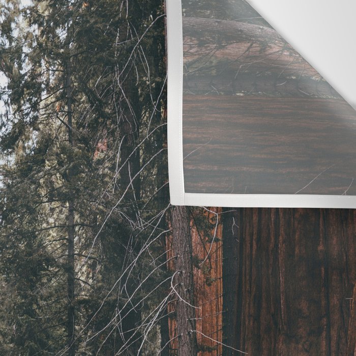 Walking Sequoia Wall Tapestry Gallery Image 3