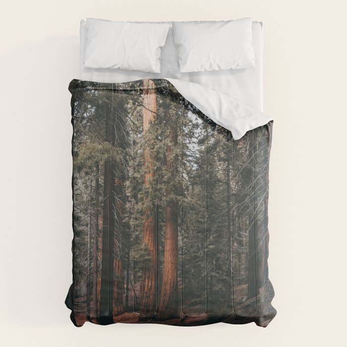 Walking Sequoia Comforter Gallery Image 6