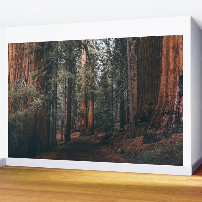 Walking Sequoia Wall Mural Gallery Image 2