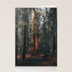 Walking Sequoia Stationery Card Gallery Image 2