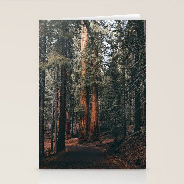 Walking Sequoia Stationery Card Gallery Image 2