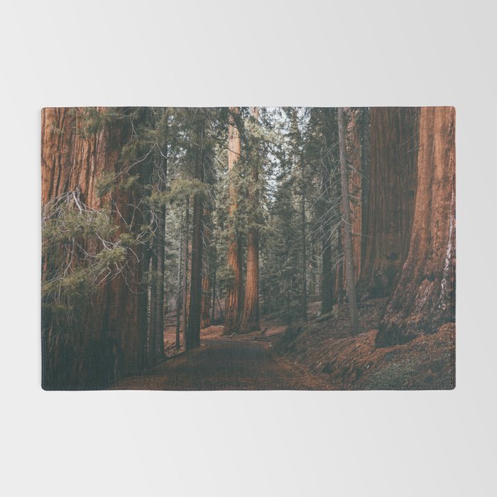 Walking Sequoia Rug Gallery Image 2