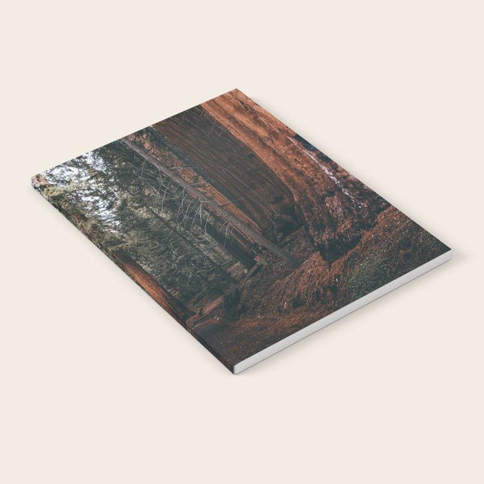 Walking Sequoia Notebook Gallery Image 2