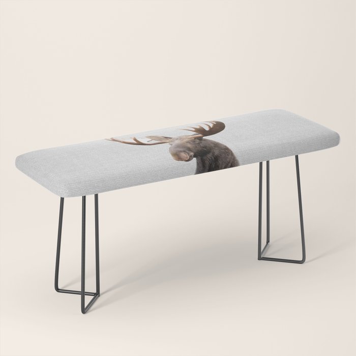 Moose - Colorful Bench Gallery Image 1