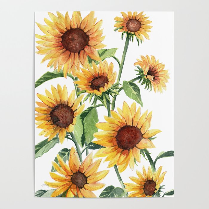 Sunflowers Poster Gallery Image 1