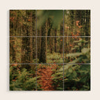 Forest Trail IV Wood Wall Art Gallery Image 1