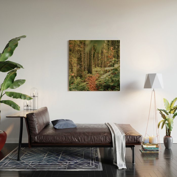 Forest Trail IV Wood Wall Art Gallery Image 2