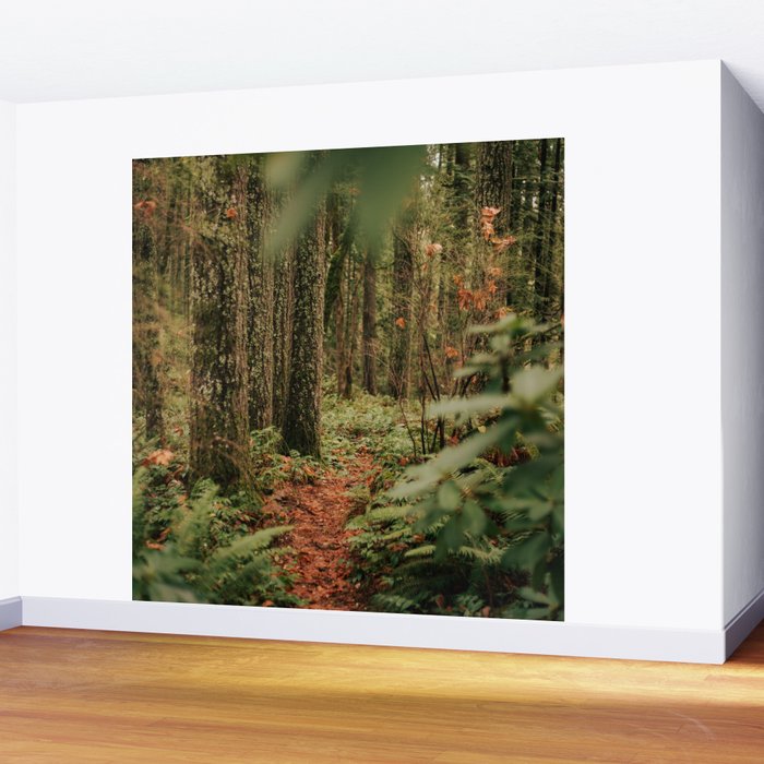 Forest Trail IV Wall Mural Gallery Image 2