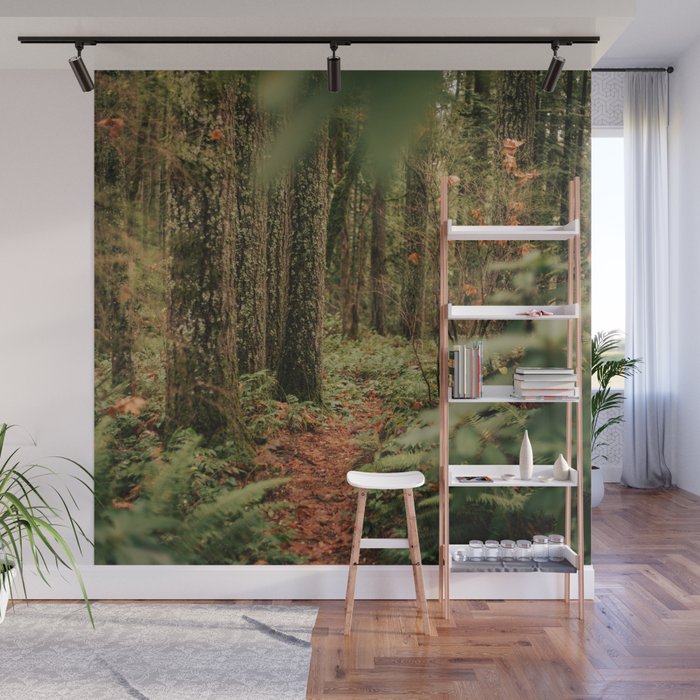 Forest Trail IV Wall Mural Gallery Image 1