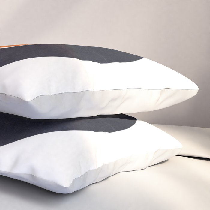 Vinyl Record Art World Post Pillow Sham Gallery Image 3