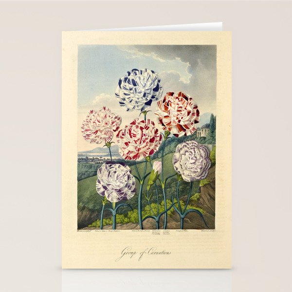 Carnations from "The Temple of Flora," 1812 (benefitting The Nature Conservancy) Stationery Card Gallery Image 1