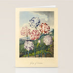 Carnations from "The Temple of Flora," 1812 (benefitting The Nature Conservancy) Stationery Card Gallery Image 2