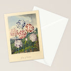 Carnations from "The Temple of Flora," 1812 (benefitting The Nature Conservancy) Stationery Card Gallery Image 2