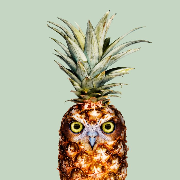 PINEAPPLE OWL Coffee Mug Gallery Image 2