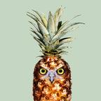 PINEAPPLE OWL Coffee Mug Gallery Image 2
