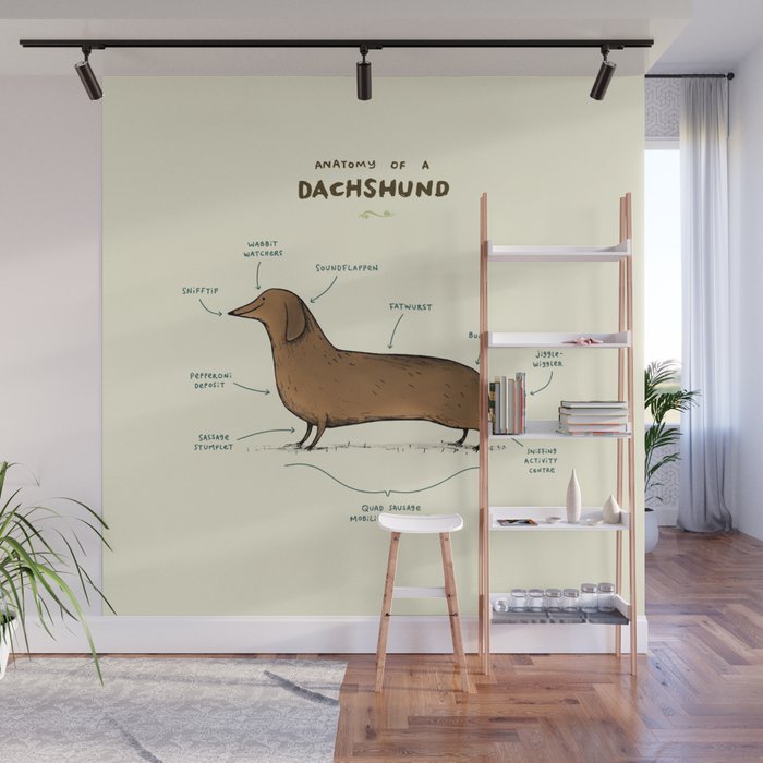 Anatomy of a Dachshund Wall Mural Gallery Image 1