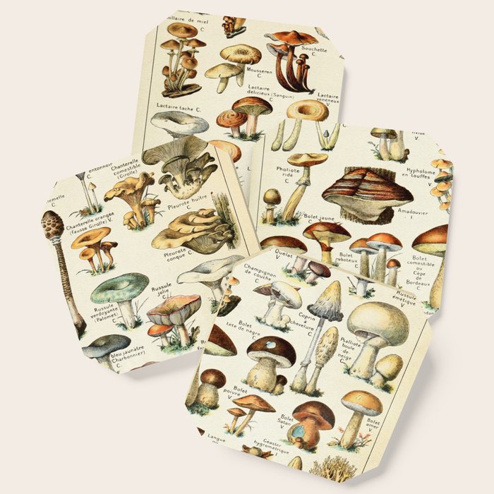 Vintage Mushroom & Fungi Chart by Adolphe Millot Coaster Gallery Image 1