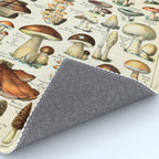Vintage Mushroom & Fungi Chart by Adolphe Millot Rug Gallery Image 4