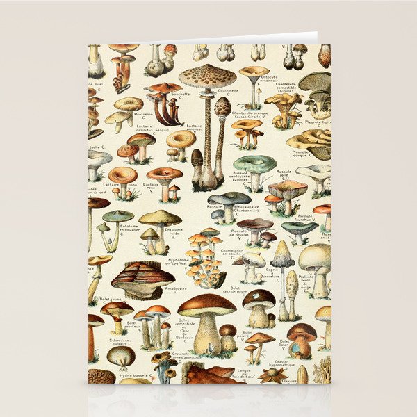Vintage Mushroom & Fungi Chart by Adolphe Millot Stationery Card Gallery Image 2