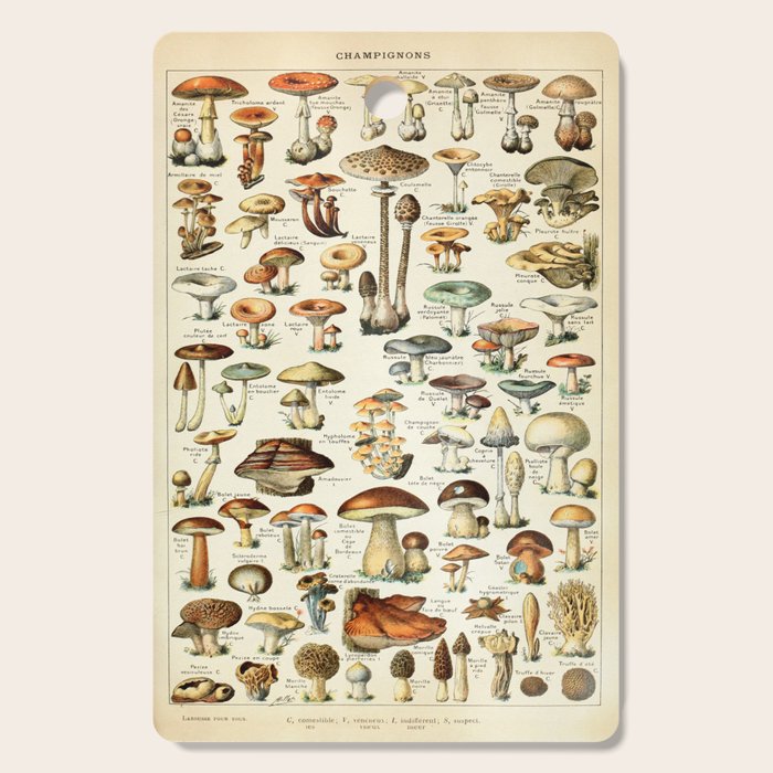 Vintage Mushroom & Fungi Chart by Adolphe Millot Cutting Board Gallery Image 1