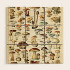 Vintage Mushroom & Fungi Chart by Adolphe Millot Wood Wall Art Gallery Image 1